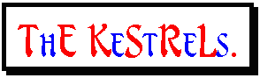 Kestrel logo